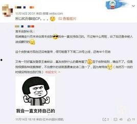 cp最新爆料,揭秘明星恋情背后的惊人真相！