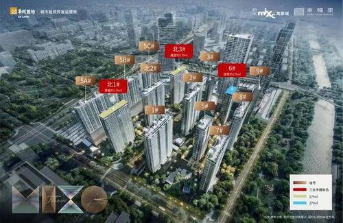 郑东万象城爆料事件最新,揭秘背后真相与争议焦点