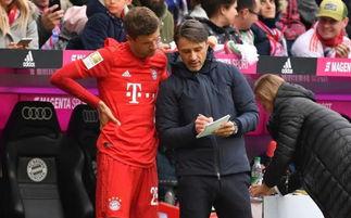 拜仁球迷最新爆料